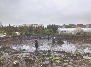 集安河道鱼塘清淤